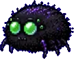 Araignoir (bébé)
