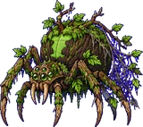 Araignoir (forêt)