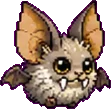 Chauvecroc (bébé)