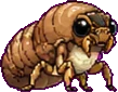 Cigalarme (bébé)