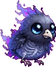 Corbouh (bébé)