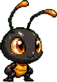 Fourmidable (bébé)