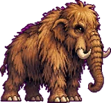 Mammouroc (enfant)