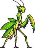 Mantelame (ado)