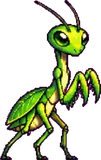 Mantelame (enfant)