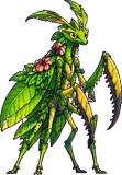 Mantelame (jungle)