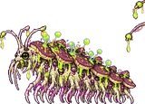 Mycélix (toxique)