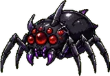 Ombrachne (enfant)