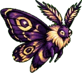 Papillombre (ado)