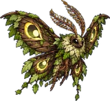 Papillombre (forêt)