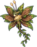 Pétalouette (forêt)