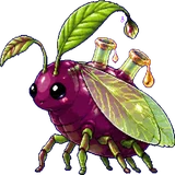 Pucerise