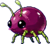 Pucerise (enfant)