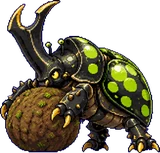Scarabouille