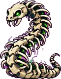 Vertébrine (ado)